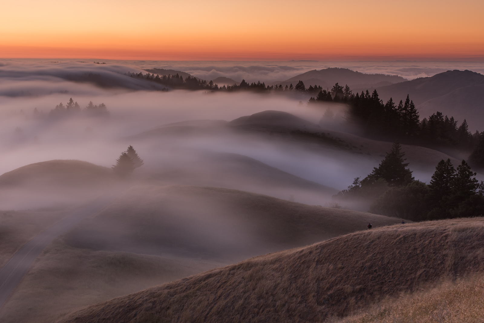Photographers working on Mt. Tamalpais