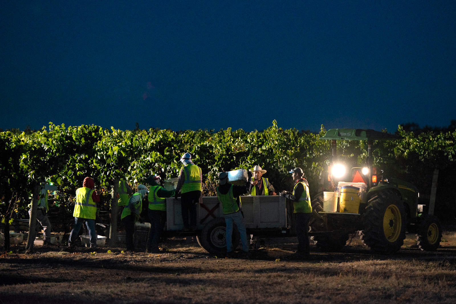Night harvest
