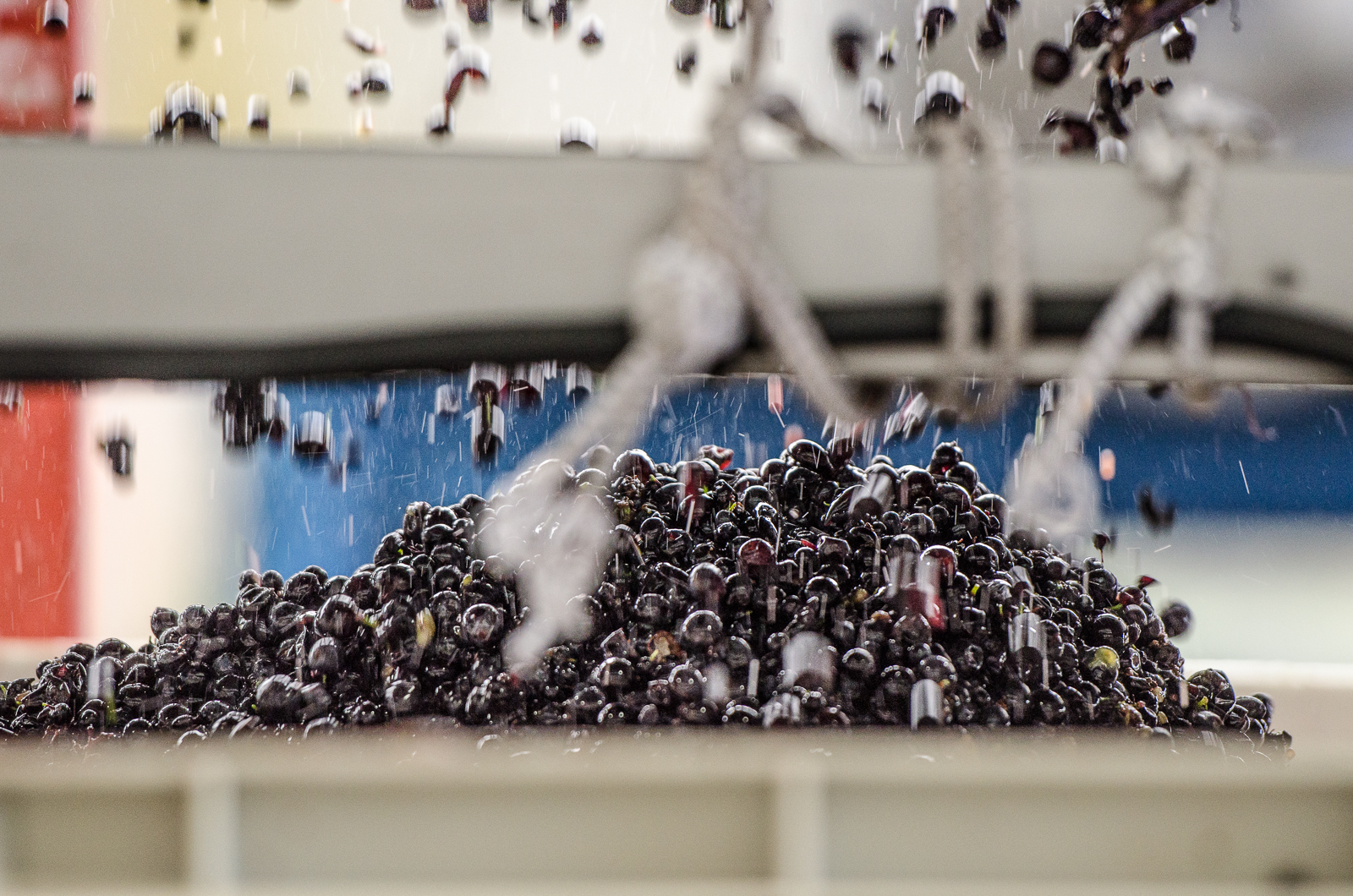 Winemaking