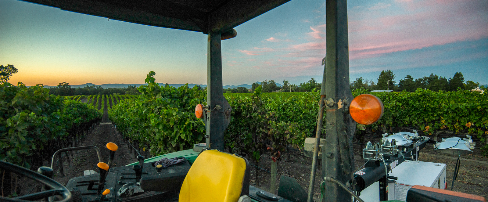 Tractor working the vineyard