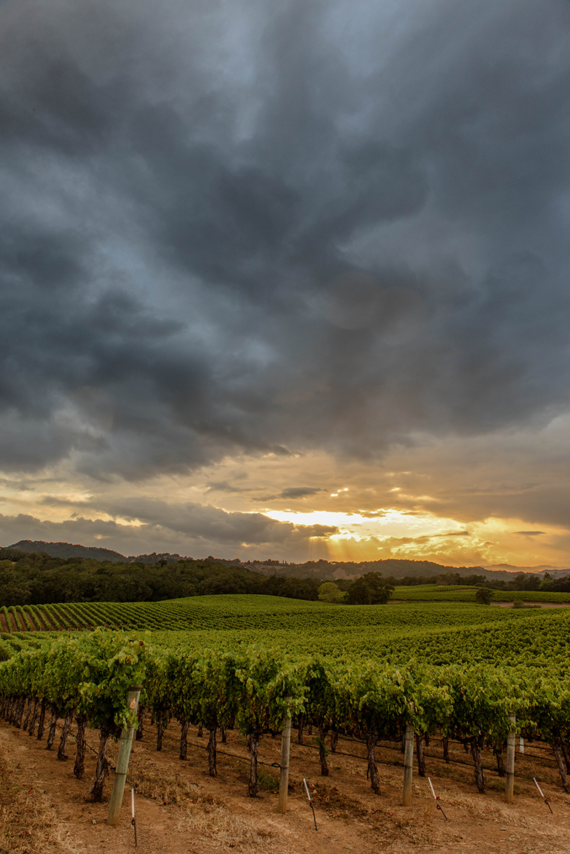Storm over Alexander Valley