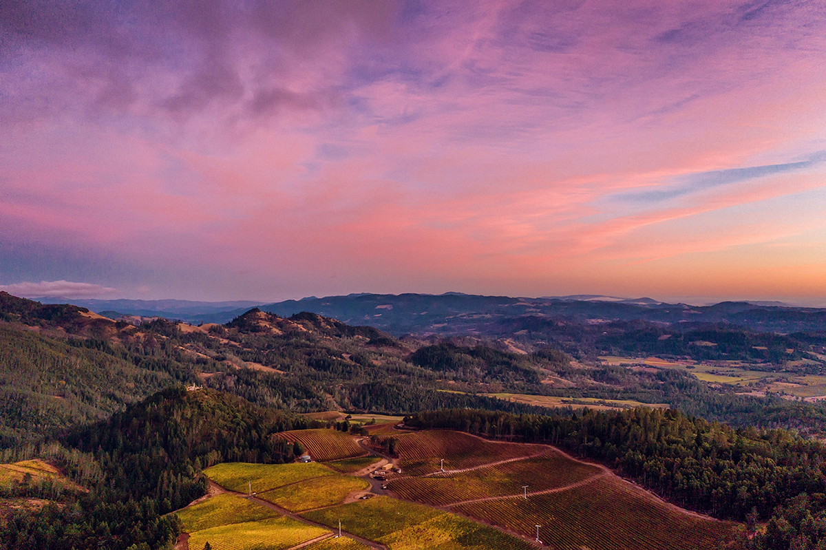 Knights Valley AVA
