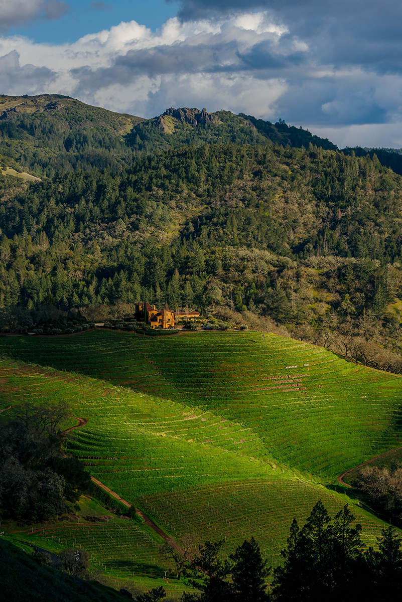 Napa winery